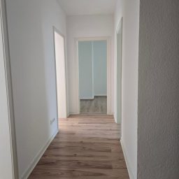 reinkommen